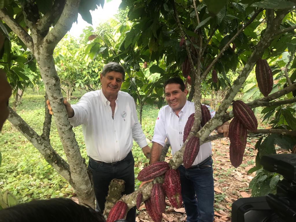 El origen del cacao estaría en la Amazonía peruana