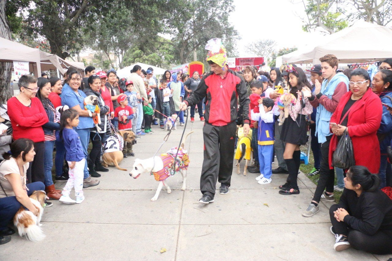 PERRO CON DISFRAZ DE ÑUSTA Y OTRO DE GOKU FUERON LOS GANADORES DEL CONCURSO HALLOWEEN DOG 2018