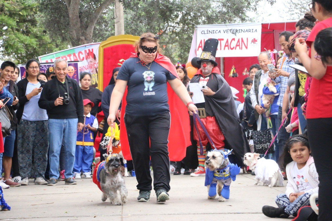 PERRO CON DISFRAZ DE ÑUSTA Y OTRO DE GOKU FUERON LOS GANADORES DEL CONCURSO HALLOWEEN DOG 2018