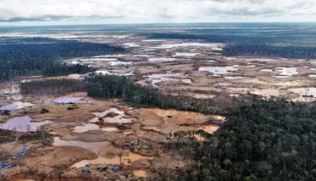 Noruega entregará US$ 230 millones a Perú para reducir deforestación amazónica