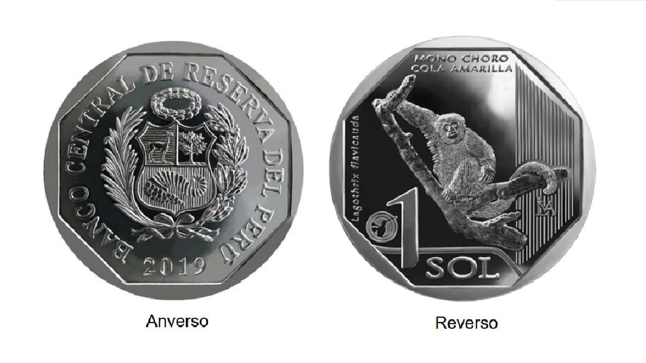 Conoce la nueva moneda de S/ 1 alusiva al mono choro cola amarilla