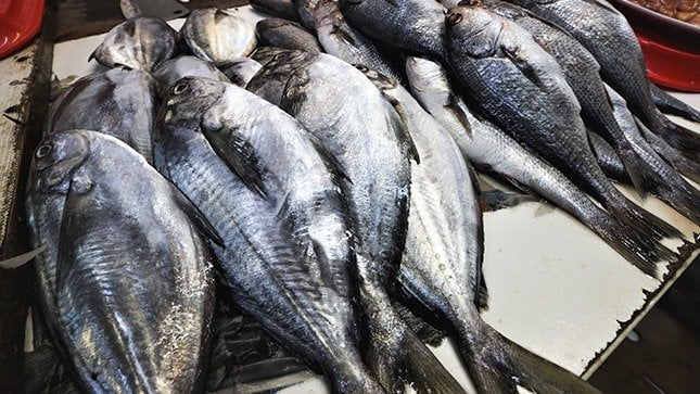 Semana Santa: Sepa cómo seleccionar pescado fresco y sano