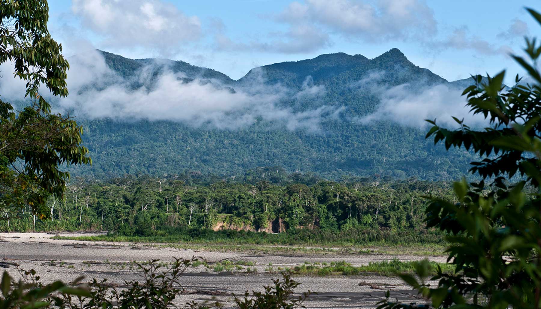 Reserva Comunal Amarakaeri ingresa a Lista Verde de áreas protegidas