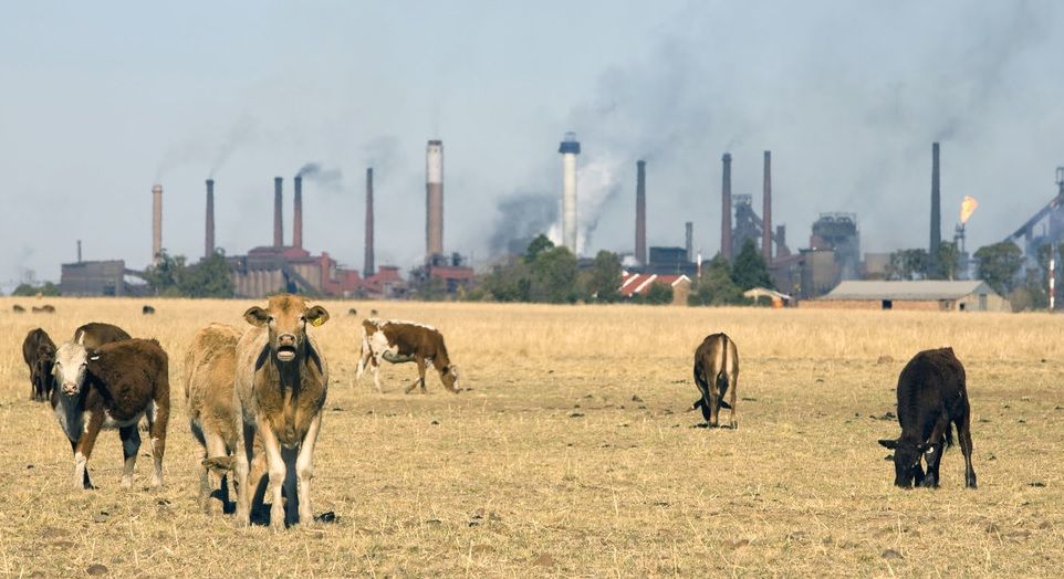 Banco Mundial/John Hogg Las industrias y la ganadería generan gases de efecto invernadero que causan el calentamiento global.