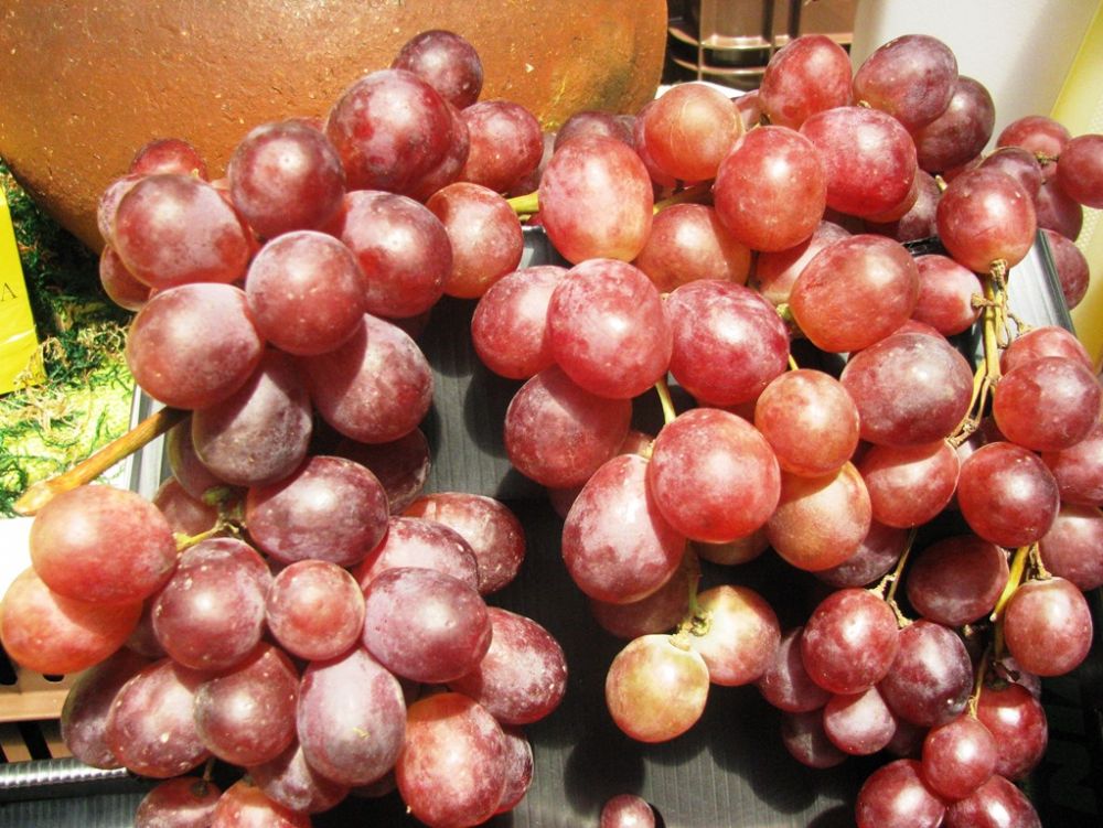 Exportación de uva