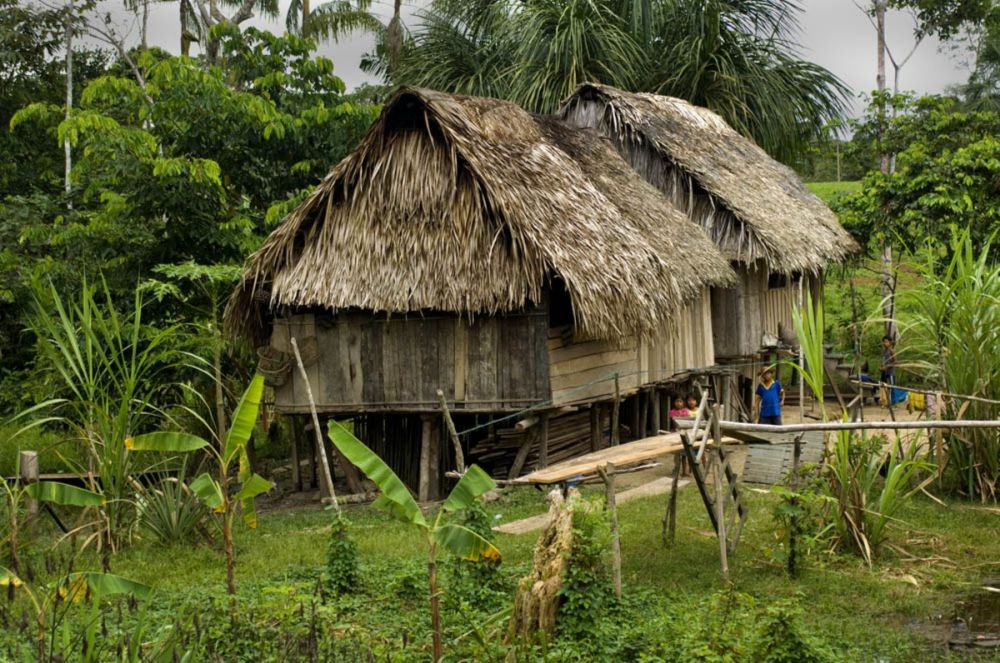 Alternativas para el “buen vivir” en la Amazonía