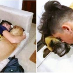 Conmovedor: perrita murió en brazos de su dueño por la pirotecnia