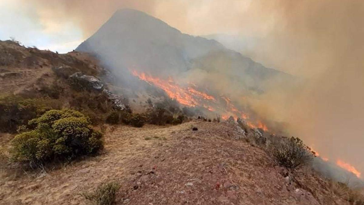 Incendios forestales en Concepción y Vilcashuamán