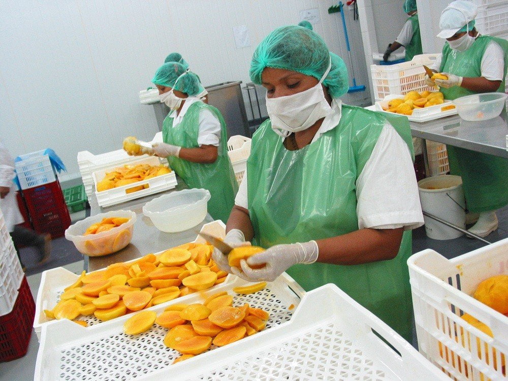 Exportación de mangos según Adex