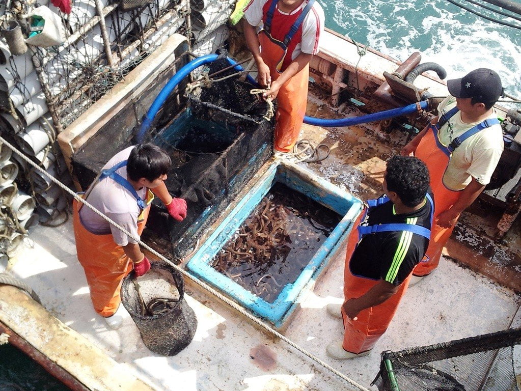 Pesca peruana