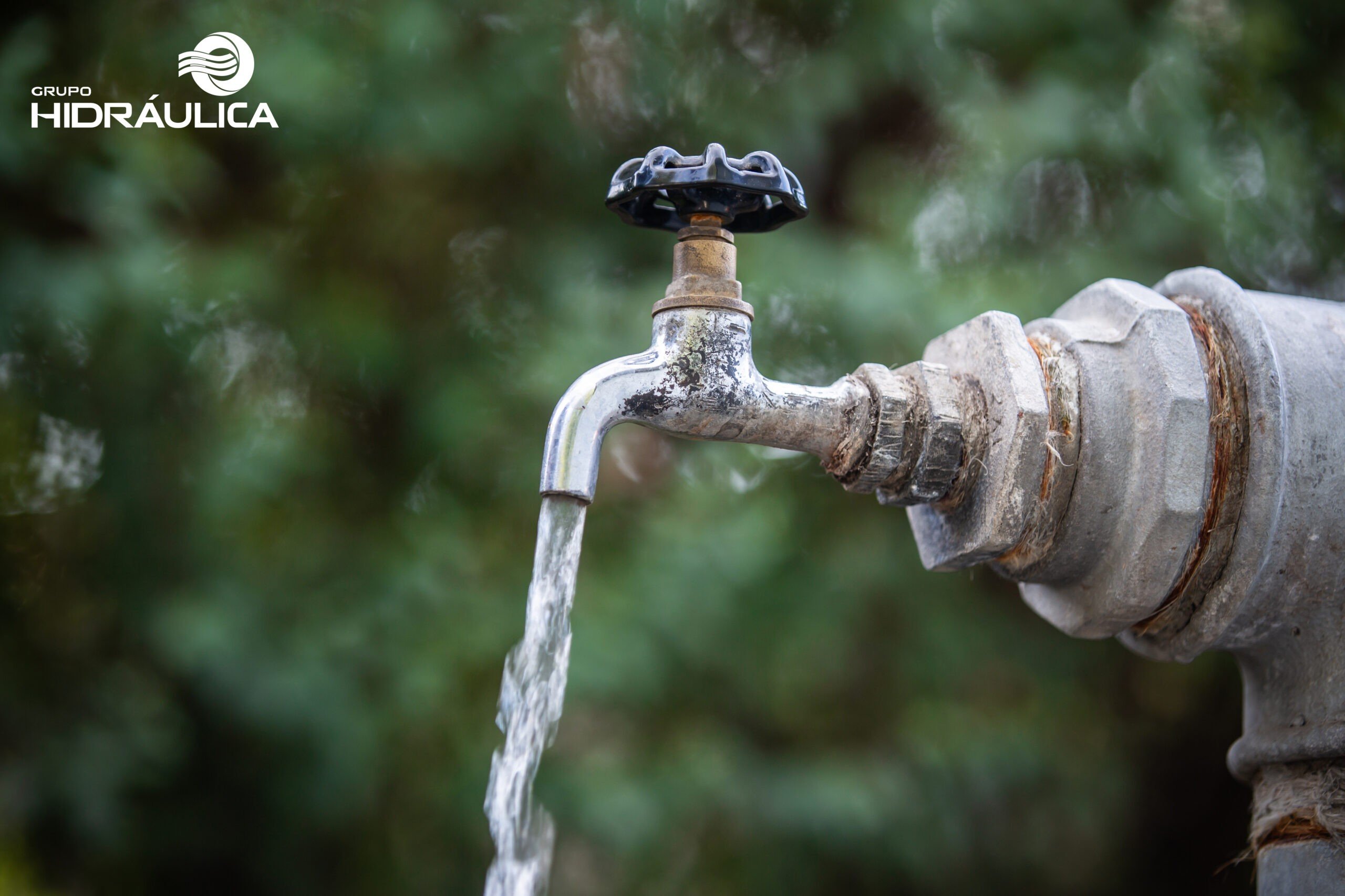 Día Mundial del Agua