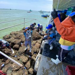 Sanipes: Pota, anchoveta, pulpo, calamar y conchas de abanico llegarán a mercado de Singapur
