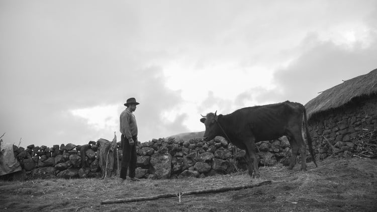 Película peruana “Samichay"