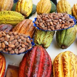 Adex: Despachos de alimentos peruanos a Asia crecieron en 31.5% el año 2021