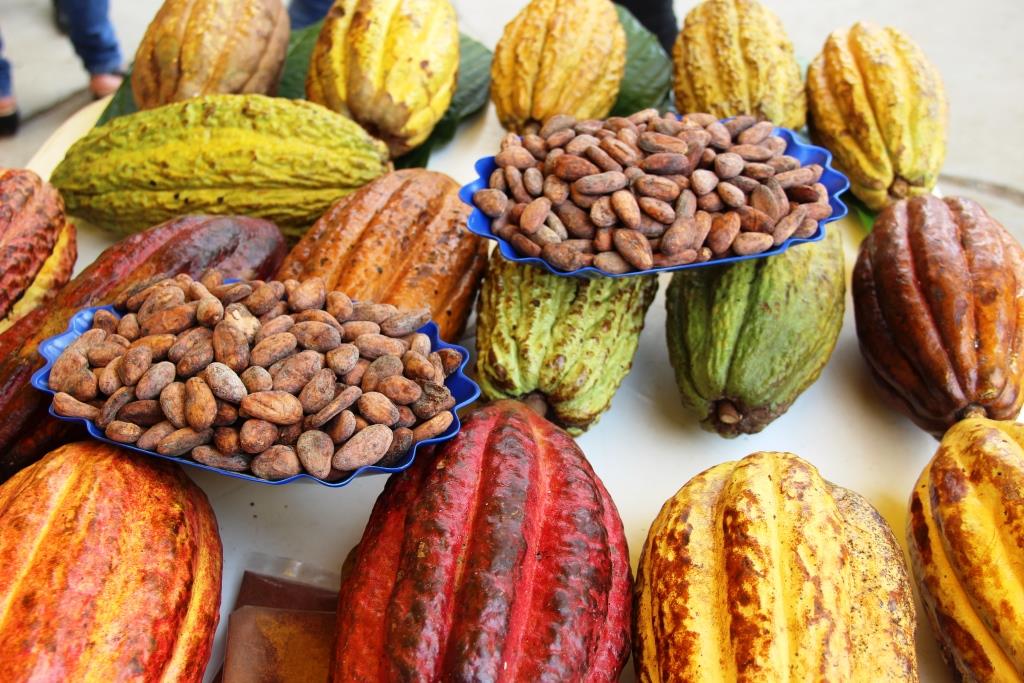 Cacao peruano