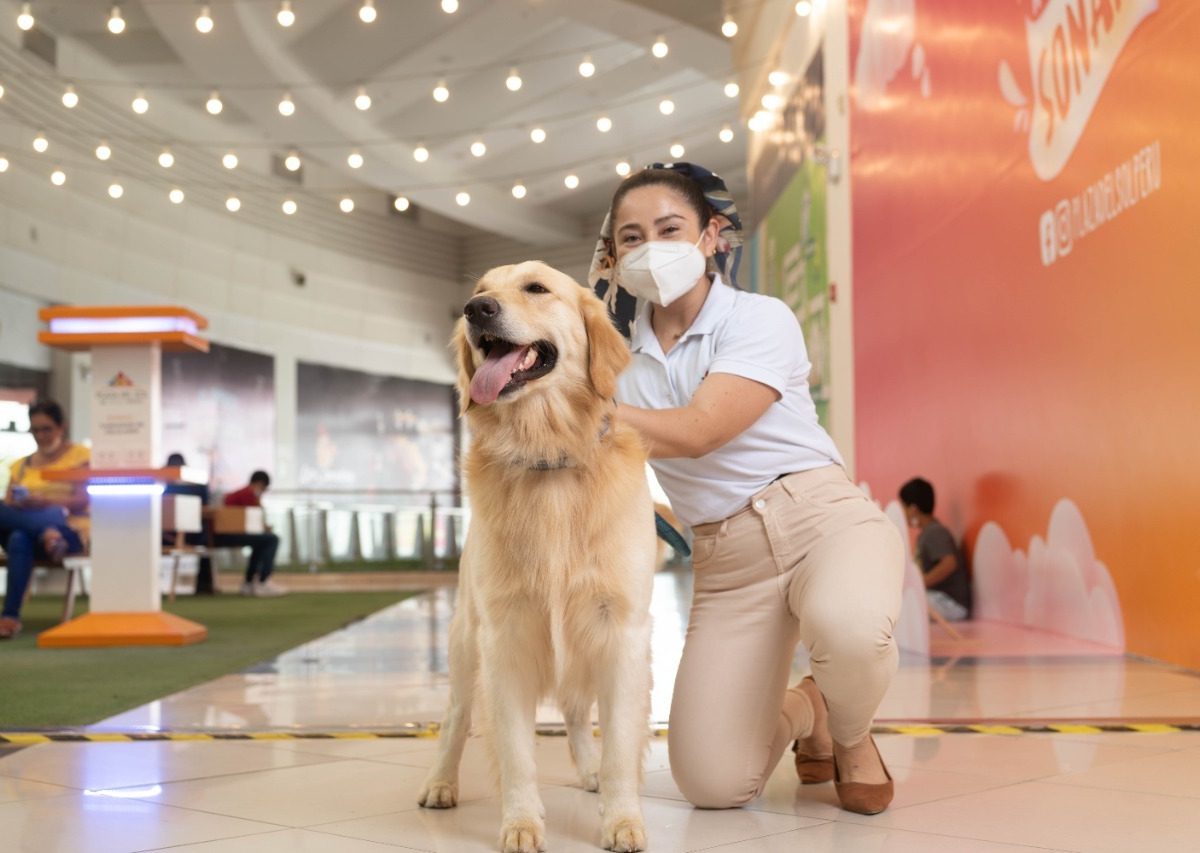 Centros comerciales y edificios de Grupo Patio ya son "Pet Friendly"