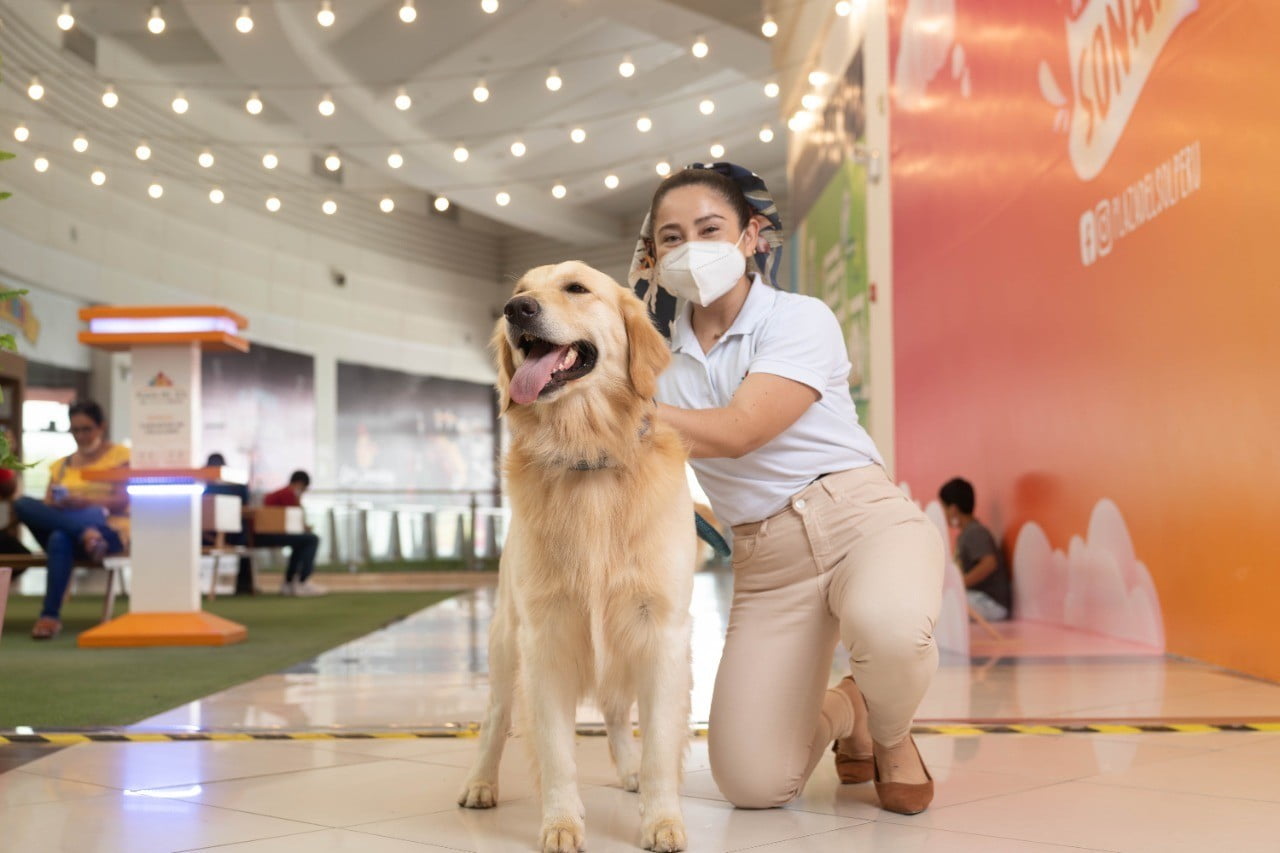 Centros comerciales y edificios de Grupo Patio ya son "Pet Friendly"
