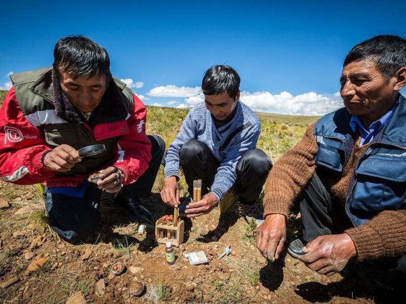 Agricultura y alimentación