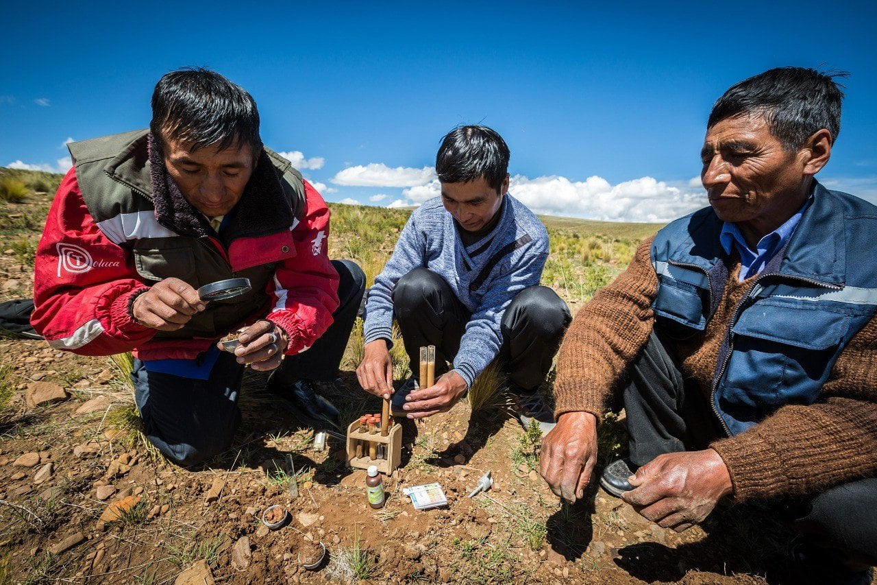 Agricultura y alimentación