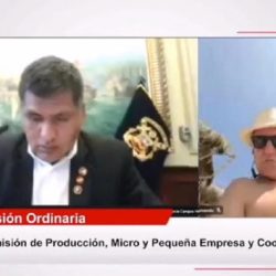 Congresista fujimorista Nano Guerra sesionaba desde la playa: Cámara de su celular lo delató