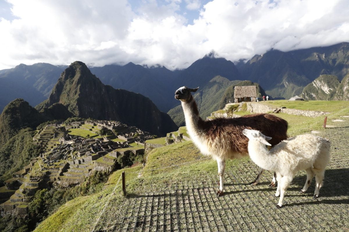 Machu Picchu