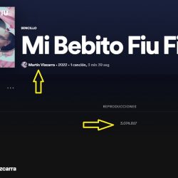 ‘Mi bebito fiu fiu’ regresa a Spotify, pero Martín Vizcarra es el autor y ya suma 3 millones de reproducciones