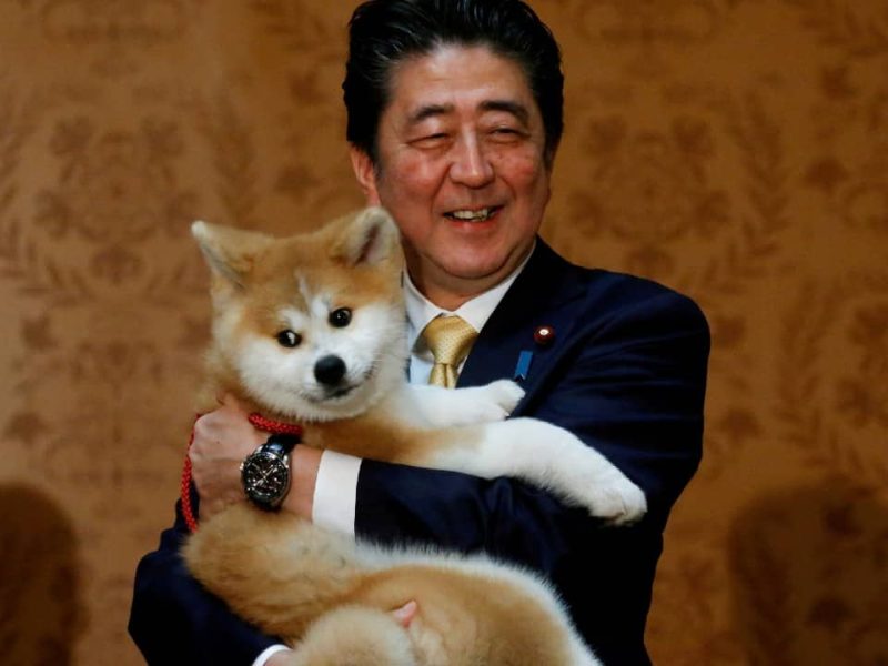 Shinzo Abe