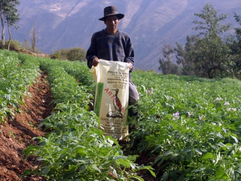 La espera por fertilizantes