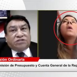 Congresista fujimorista Tania Ramírez sorprendida maquillándose en plena sesión de comisiones