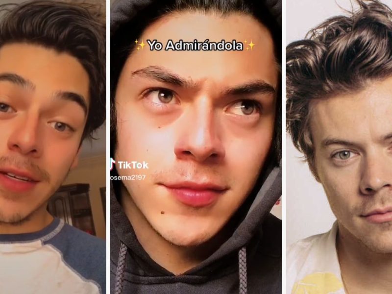 El doble de Harry Styles y el original