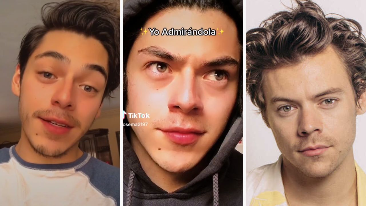 El doble de Harry Styles y el original