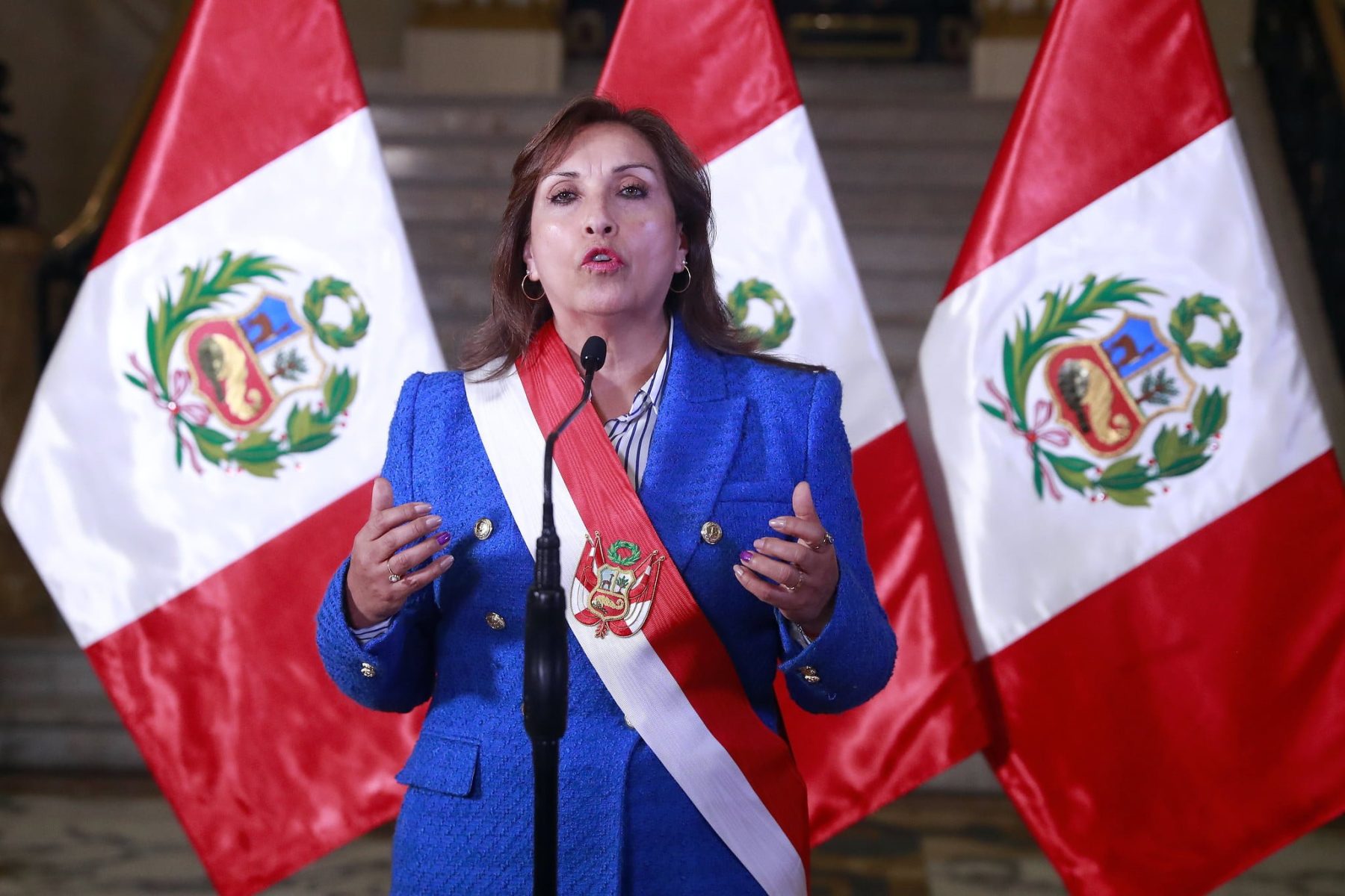 Presidenta Dina Boluarte