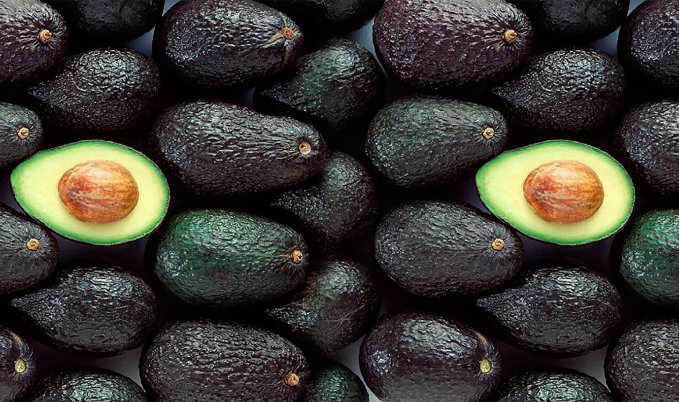 Palta Hass