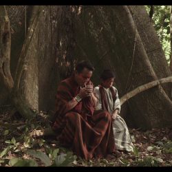Santiago Wild 2023: Perú gana festival de Cine con cortometraje “Shirampari: Herencias del río”