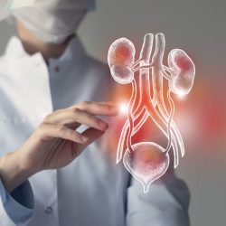 Cáncer de vejiga: Síntomas y datos clave que toda persona debe saber sobre esta enfermedad