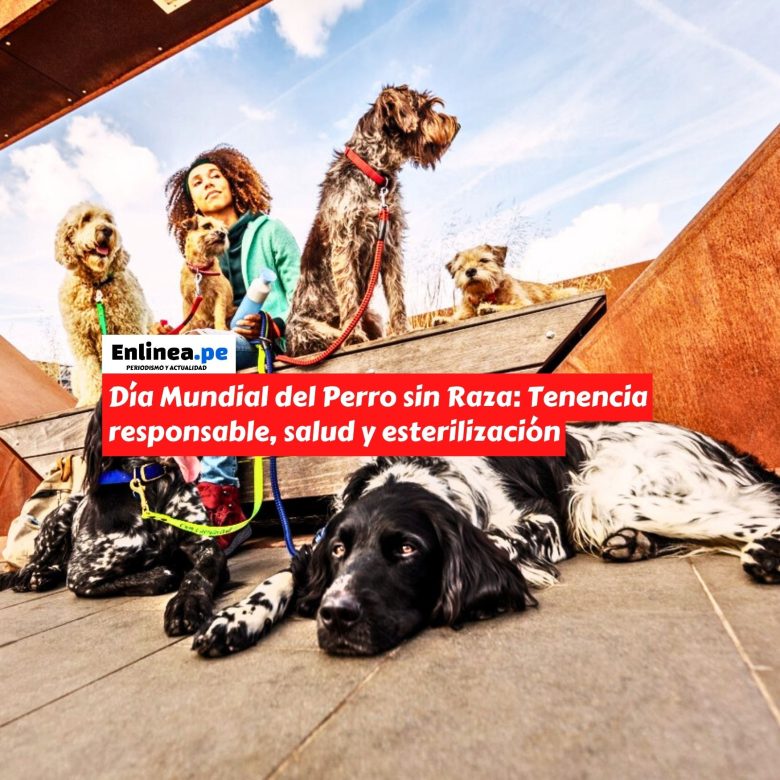 Día Mundial del Perro sin Raza: Tenencia responsable, salud preventiva y esterilización para evitar el abandono