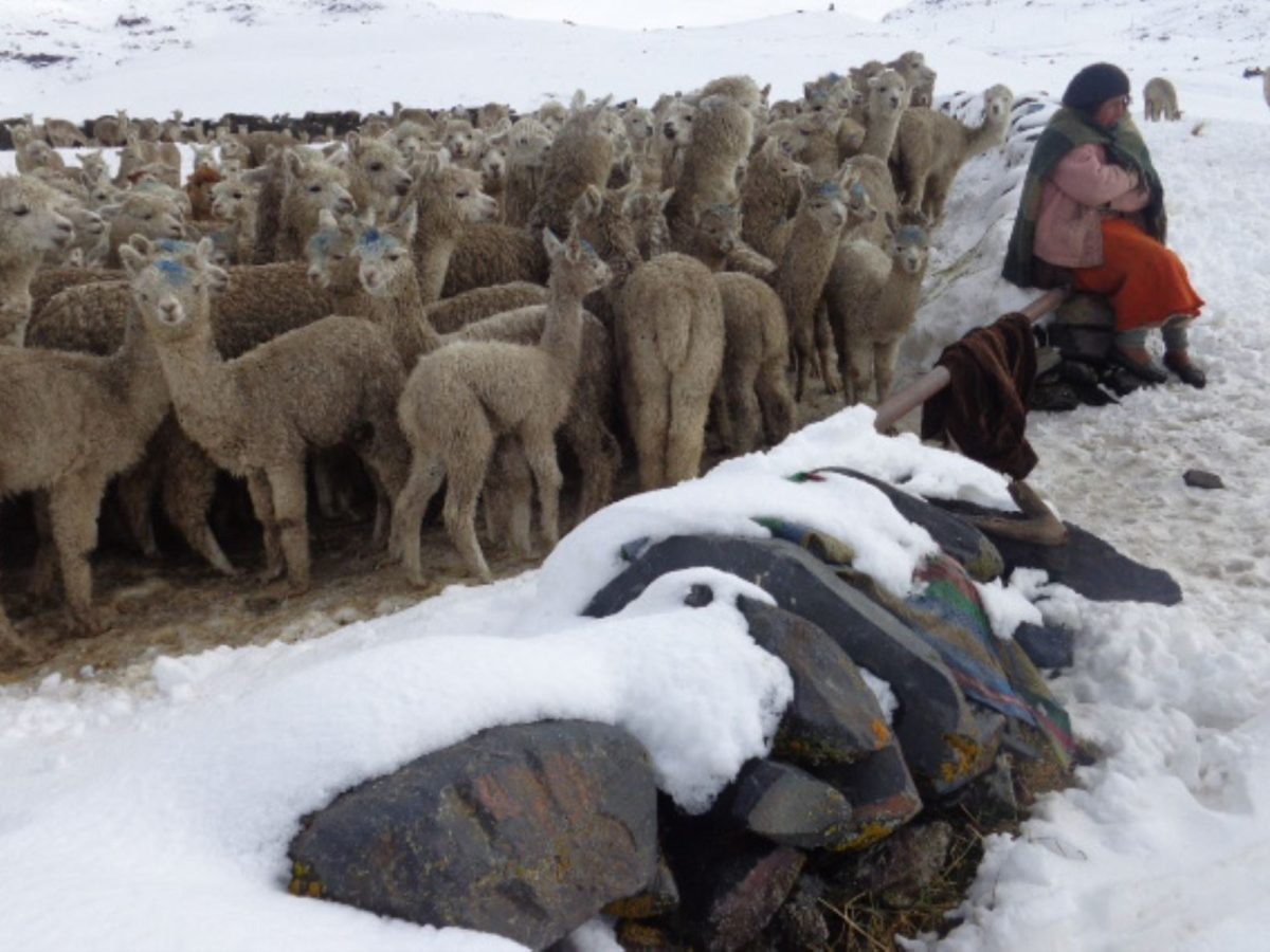 Friaje en la sierra: INDECI recomienda medidas ante descenso nocturno de temperatura del 3 al 4 de junio