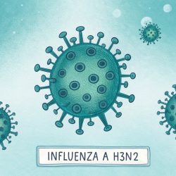 Por riesgo de influenza A H3N2 y sarampión, el Minsa declara alerta epidemiológica en el Perú