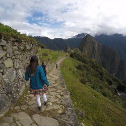 Camino Inca de Machu Picchu cerrará en febrero de 2026 para preservar su patrimonio y ecosistema