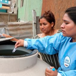 Aumentan casos de dengue y el Minsa activa alerta epidemiológica para reforzar prevención y atención