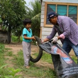 Lluvias intensas elevan riesgo de dengue: Minsa exhorta a eliminar criaderos de zancudos en los hogares